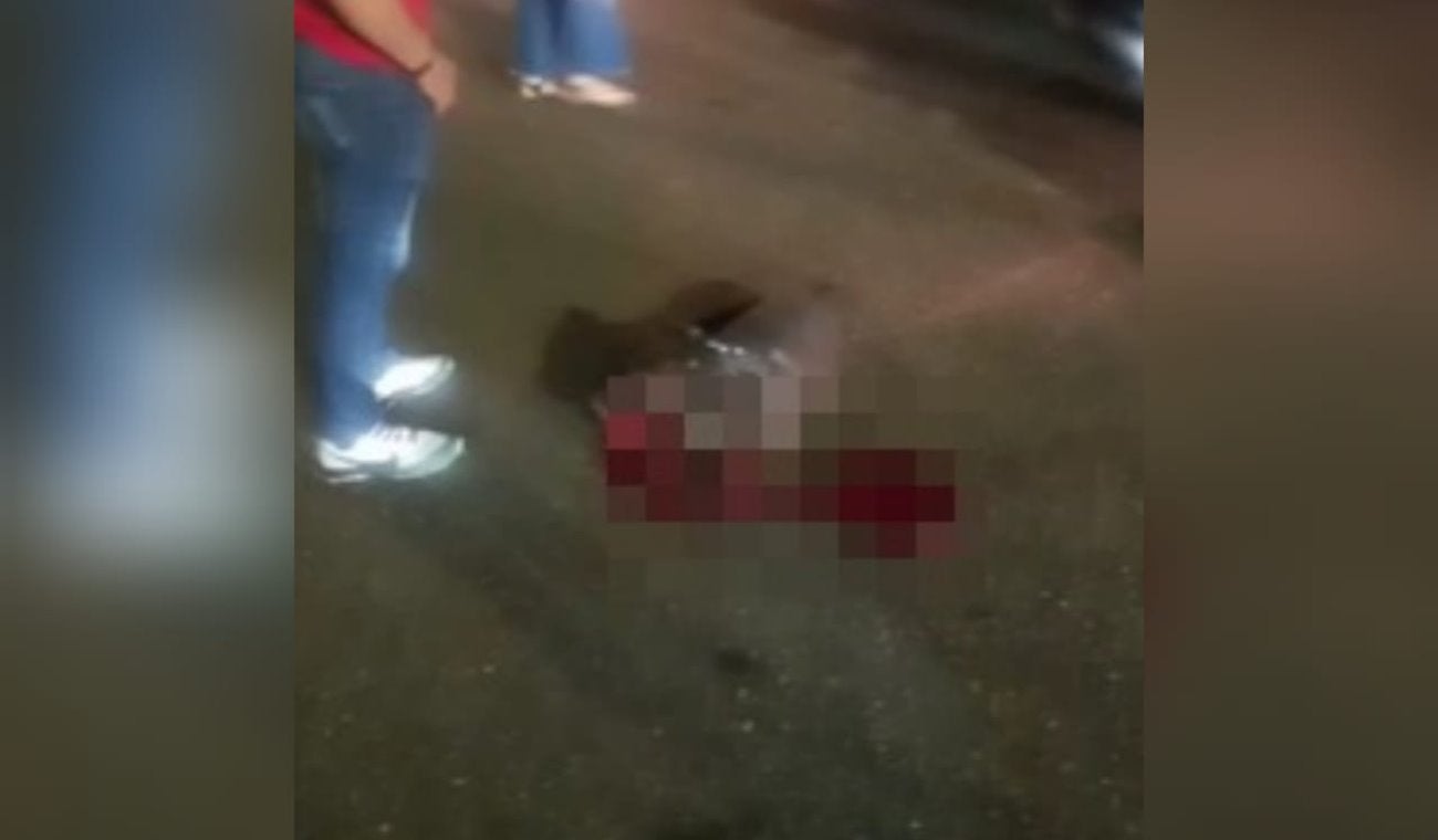 ¡Desalmado! Motociclista arrolló a una perrita cuando participaba de los ‘piques ilegales’