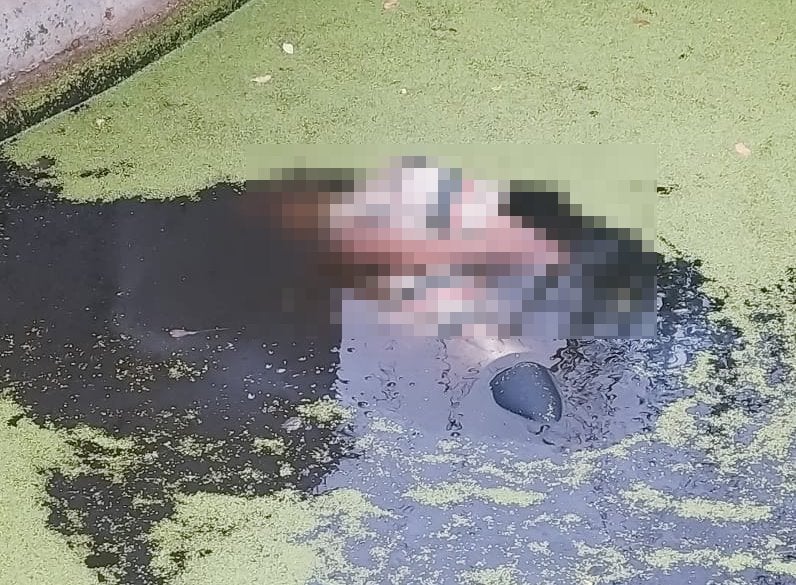 ¡Homicidio! Lo asfixiaron y arrojaron a una cuneta en Ibagué