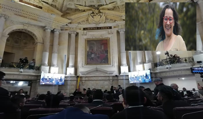 Congreso de la República- Viceministra de Minas y Energias