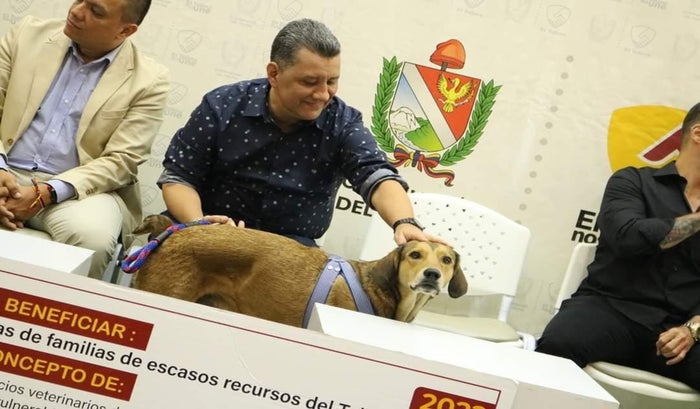 Gobernador - Hospital veterinario del Tolima