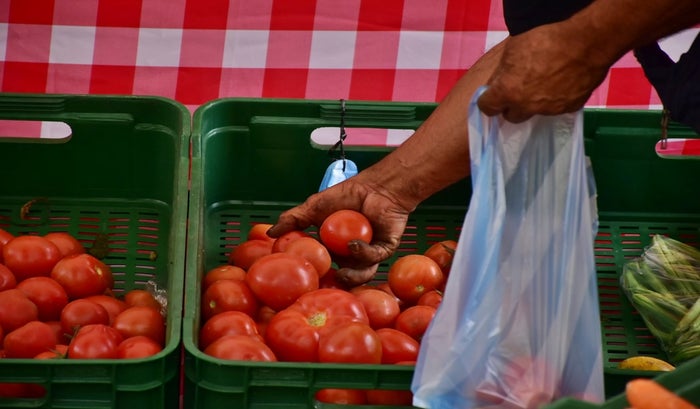 Ibagué Productora agrícola