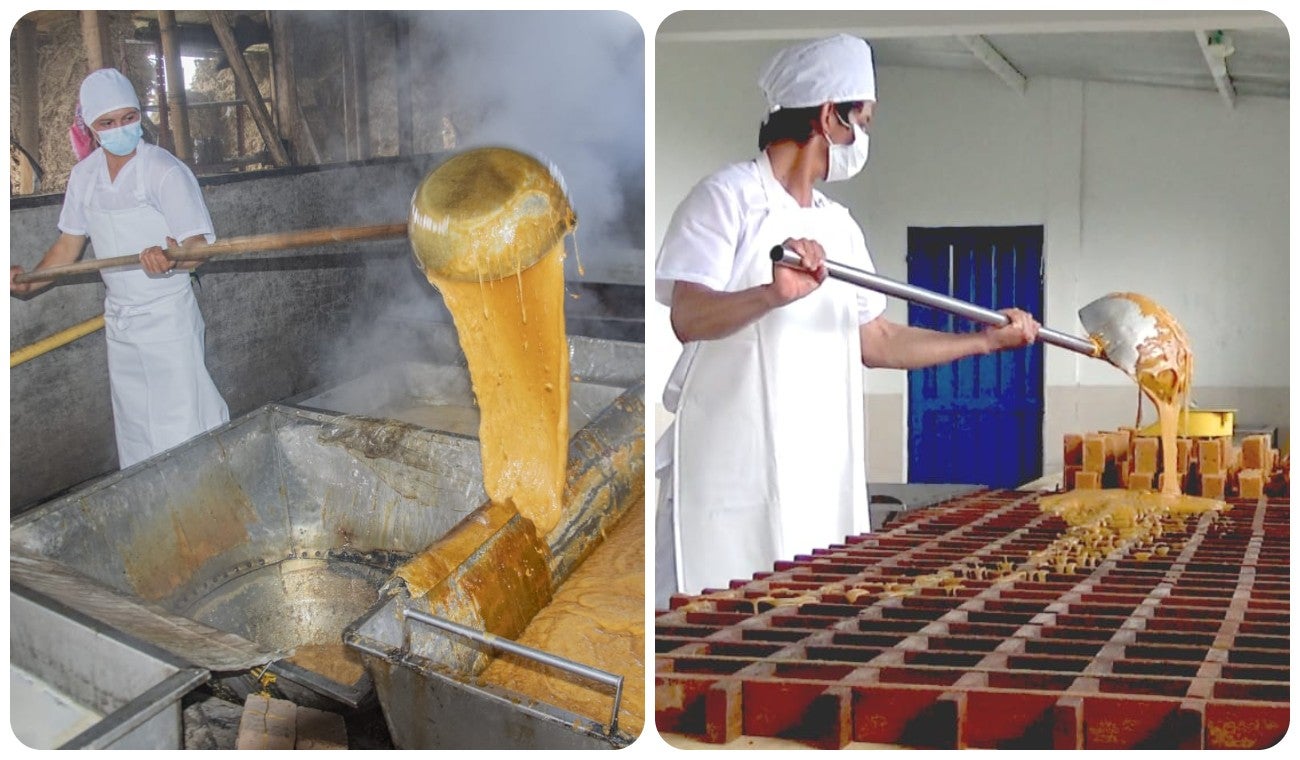 Gobernador ratifica su compromiso con el sector panelero