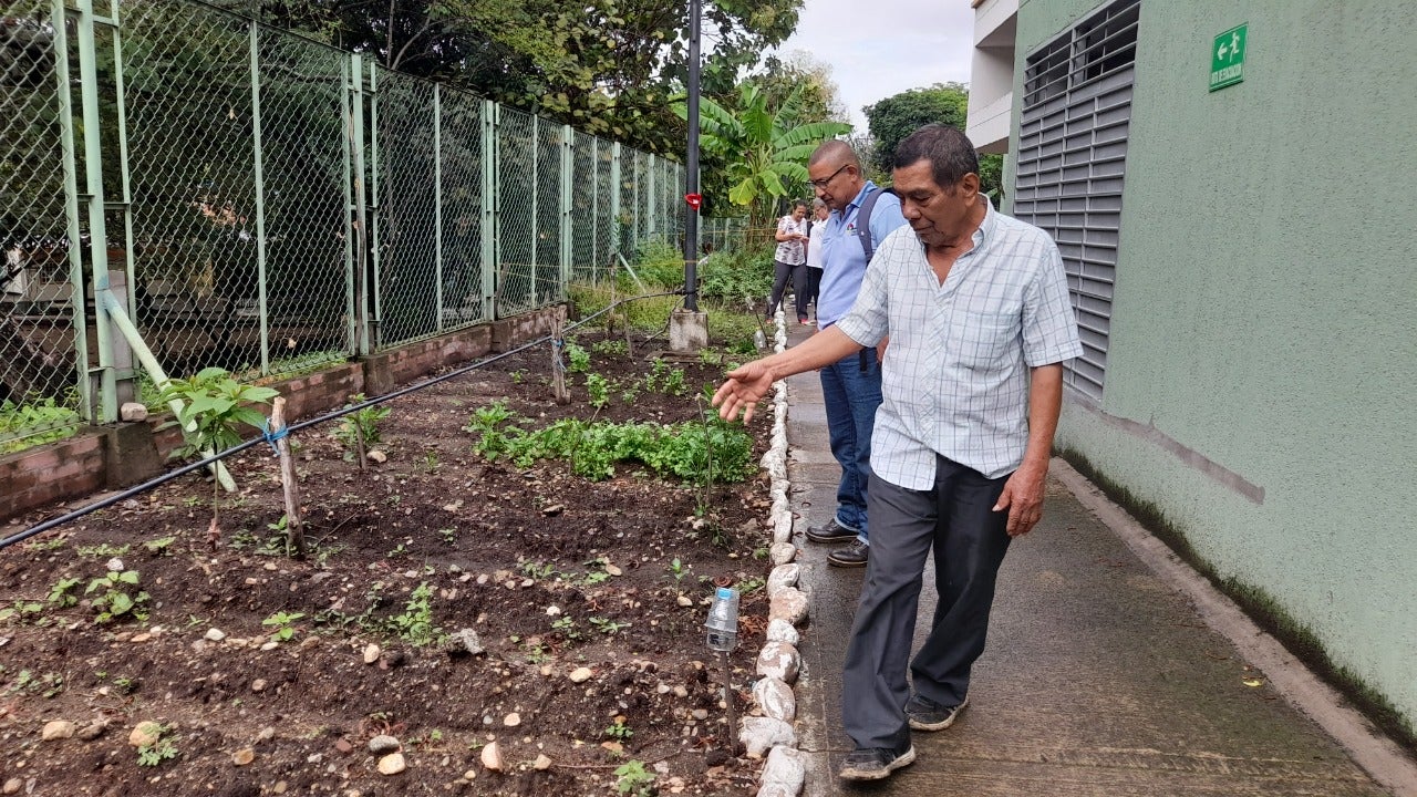 Noticias de Neiva: Huertas caseras; alternativas de vida para abuelos y jóvenes
