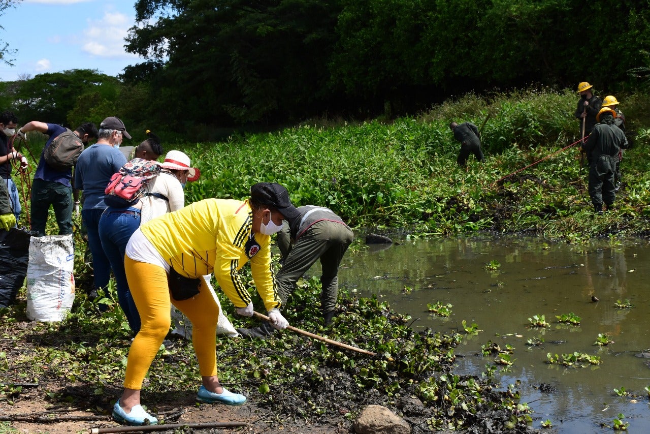 Proyectos de investigación serán financiados por la CAM