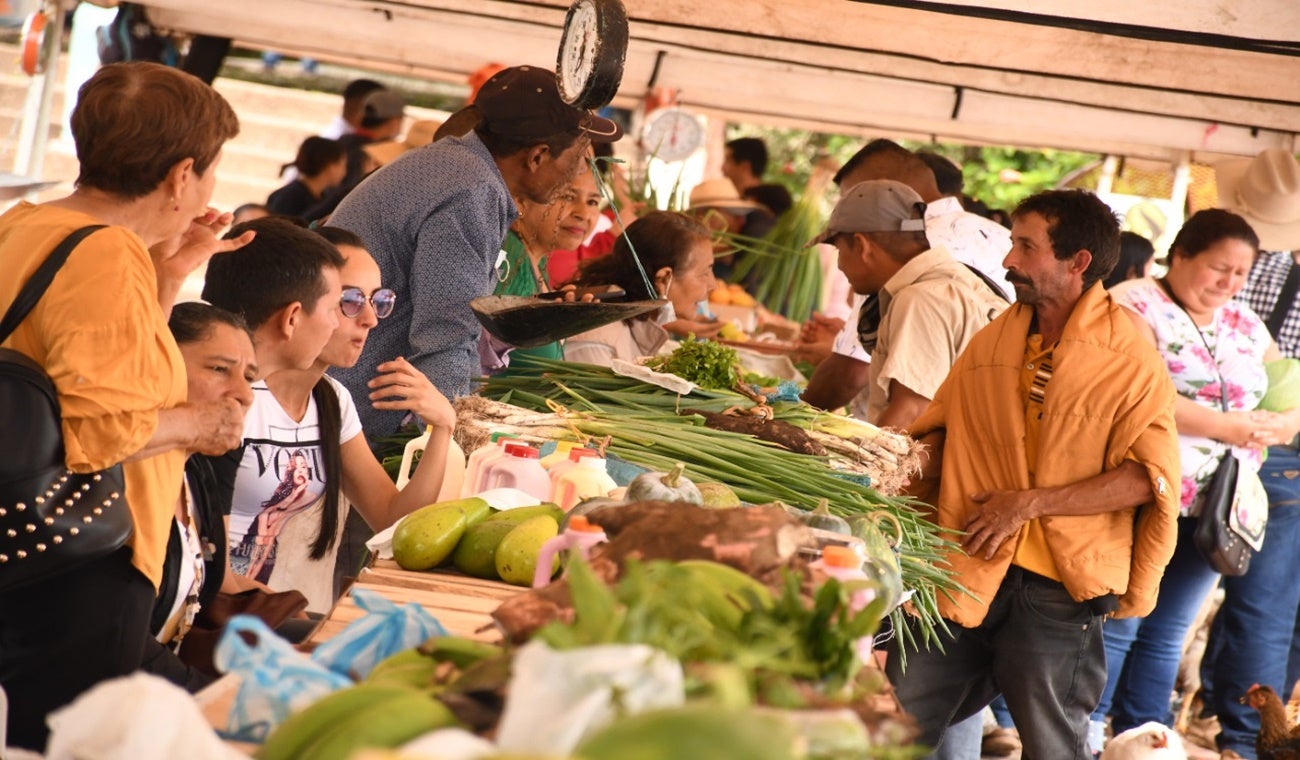 Mercados campesinos Guamo
