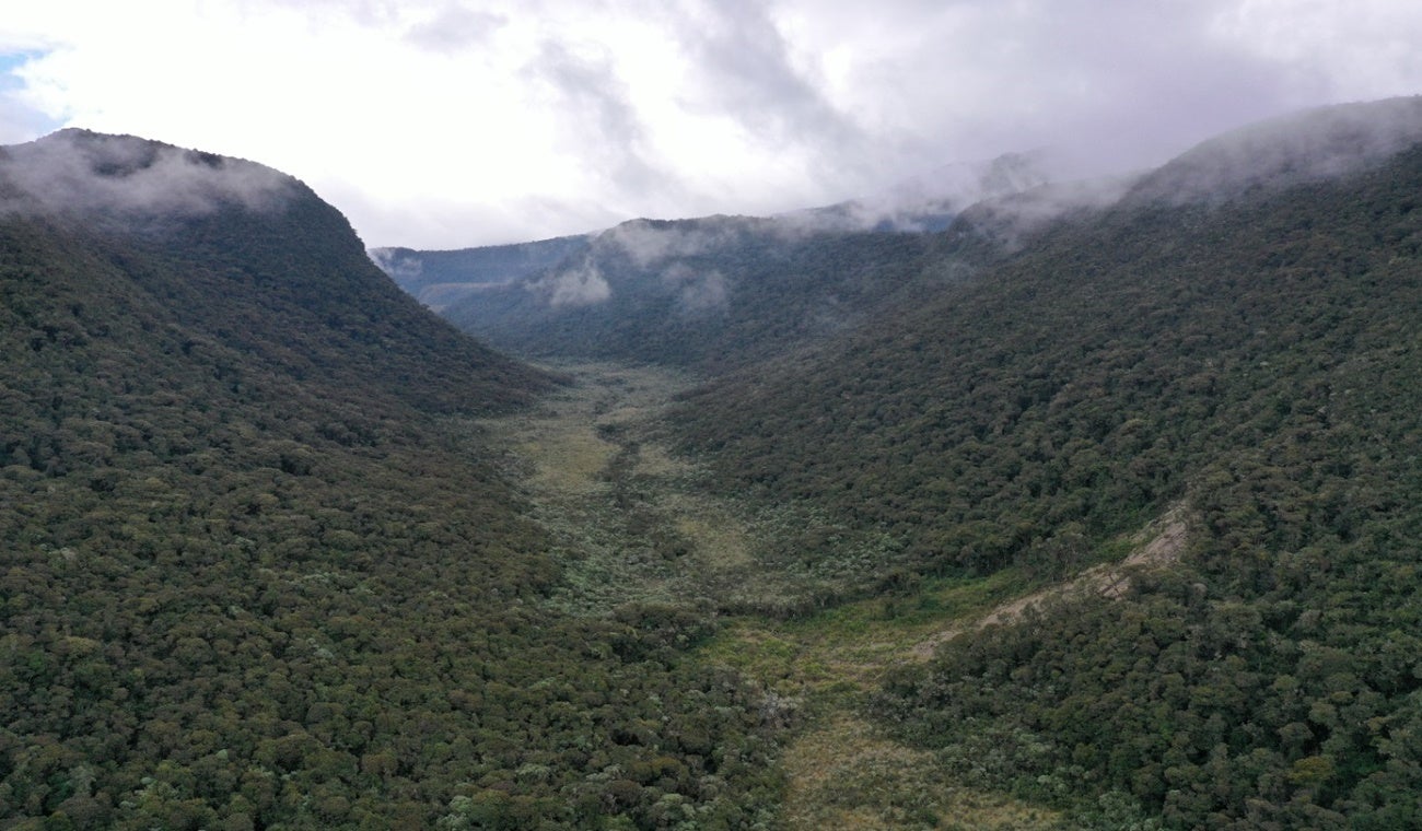 Parque Natural Regional Anaime Chilí