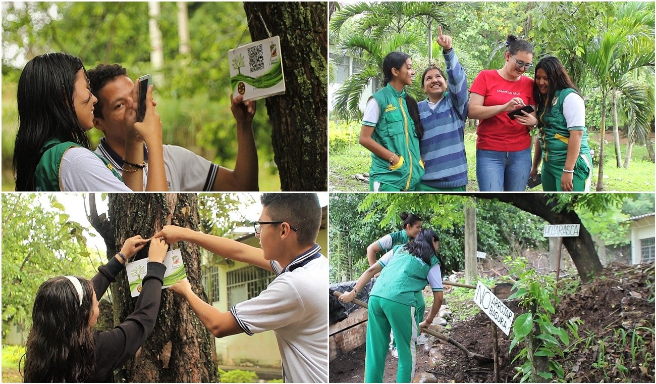 Álbum virtual sirve para identificar la flora y fauna de la región