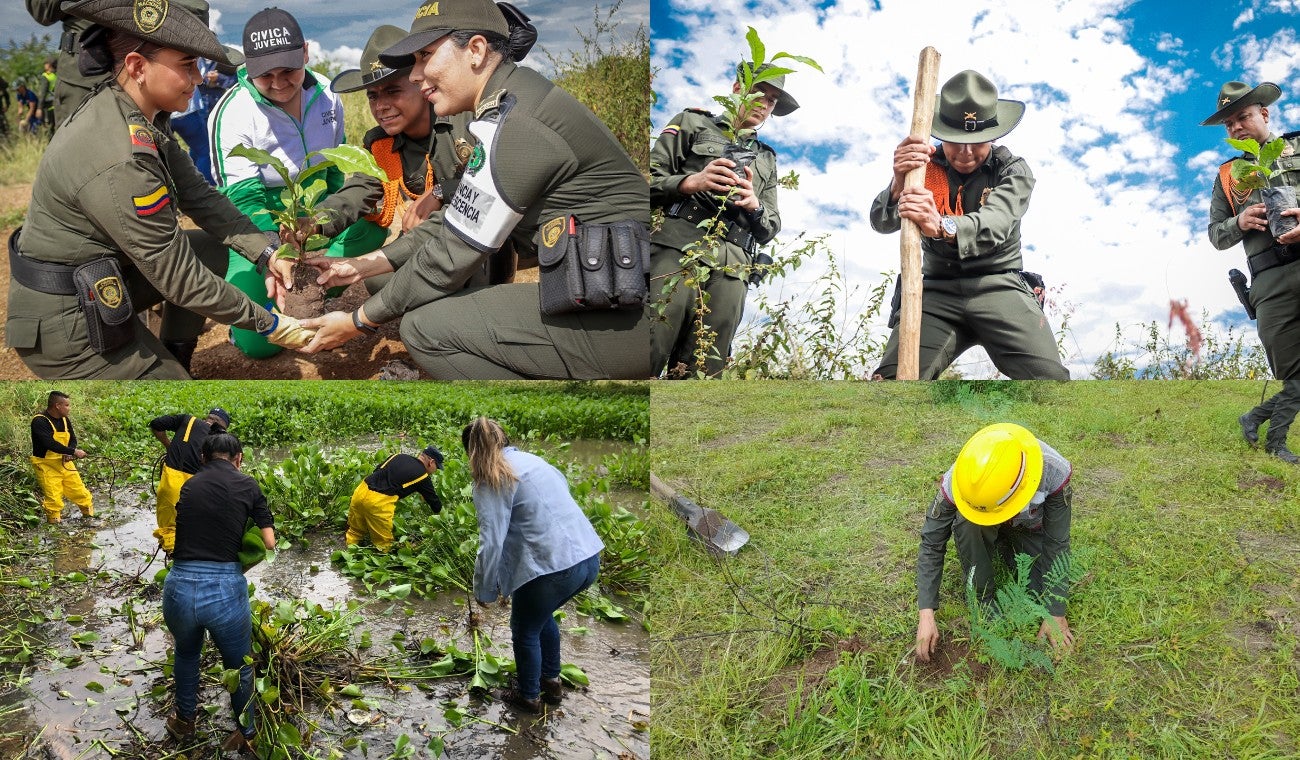 Impacto ambiental en los humedales