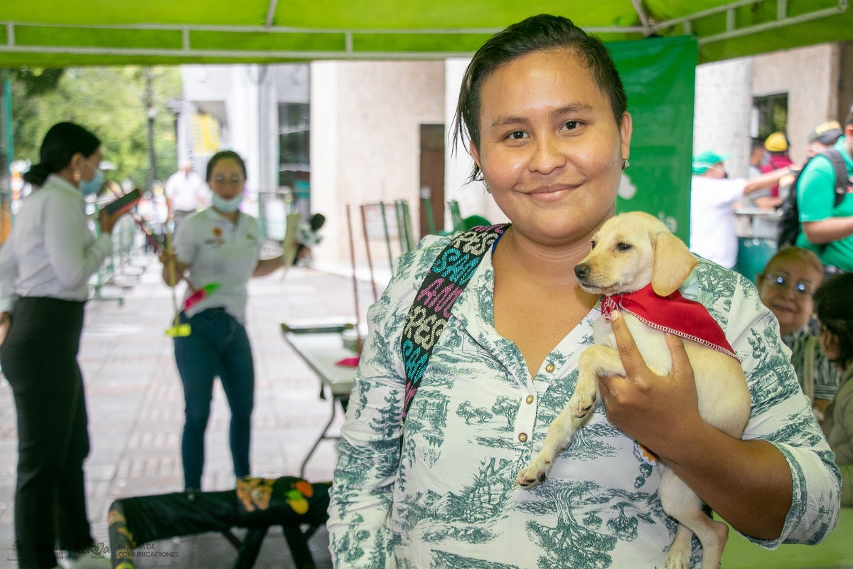 Busca generar deberes para los tenedores de mascotas