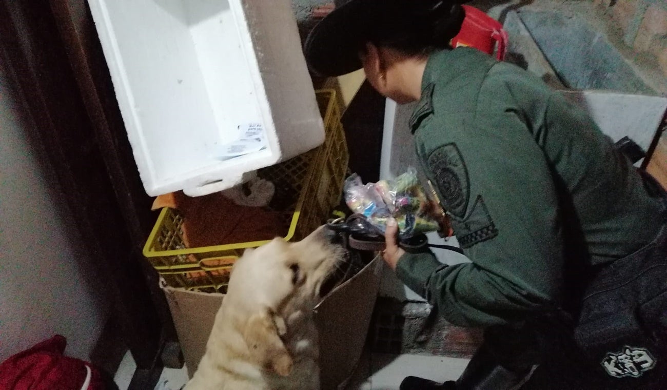 Operativos de la Alcaldía de Ibagué contra la pirotecnia