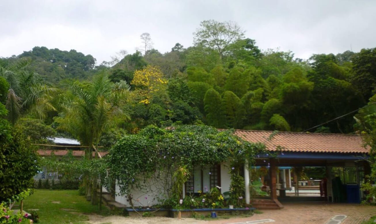 Reserva Natural Orquídeas del Tolima - Orquidiario