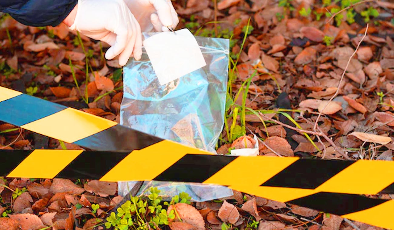 Investigación criminal