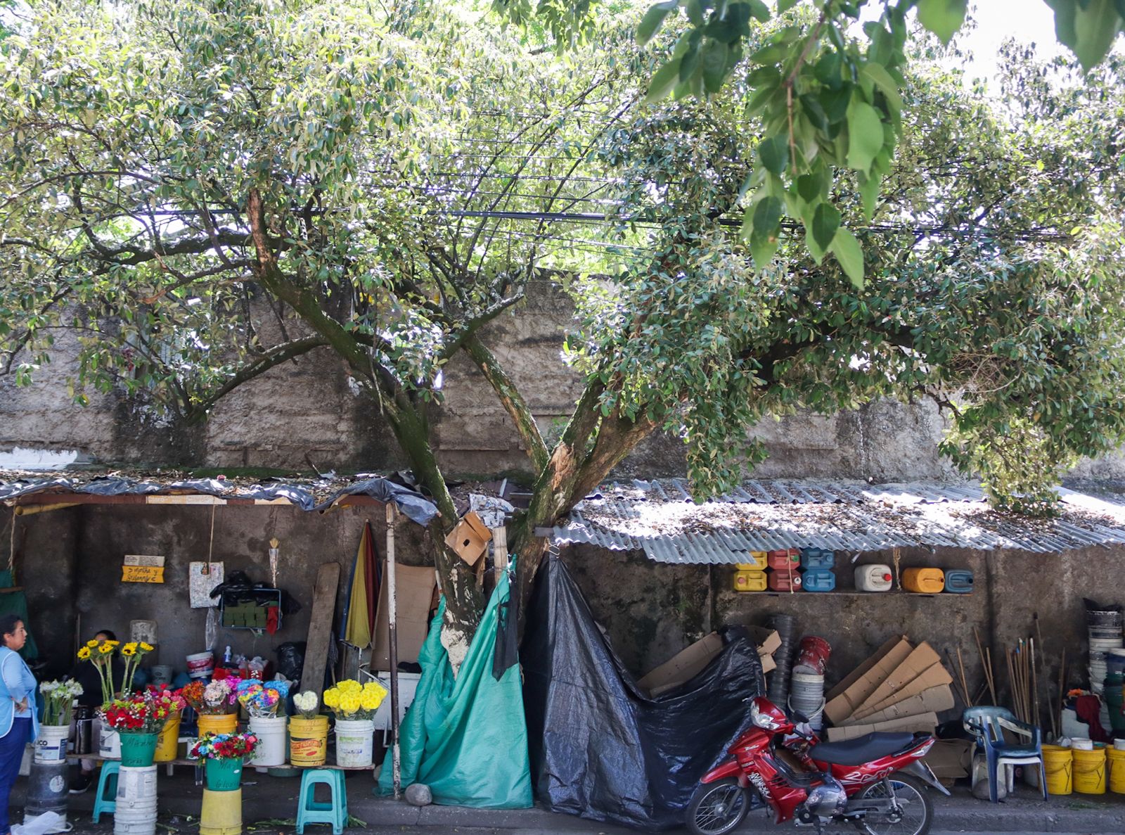 Espacio público del cementerio central será recuperado