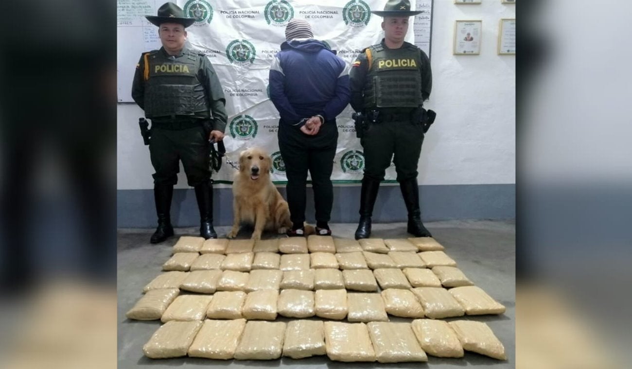 ¡Qué olfato el de Jeffry! Halló 28 mil dosis de marihuana en equipaje de bodega en Cajamarca