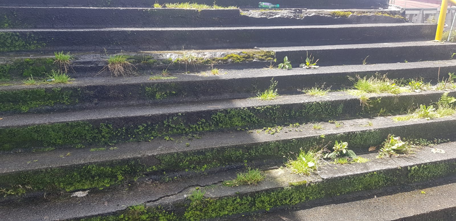 Coliseo Menor. Aún no comienzan las obras. Solo hay un cerramiento.