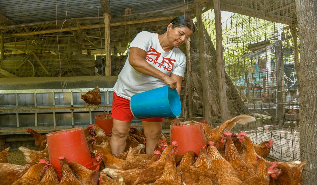 Ambalema Agencia Desarrollo Rural