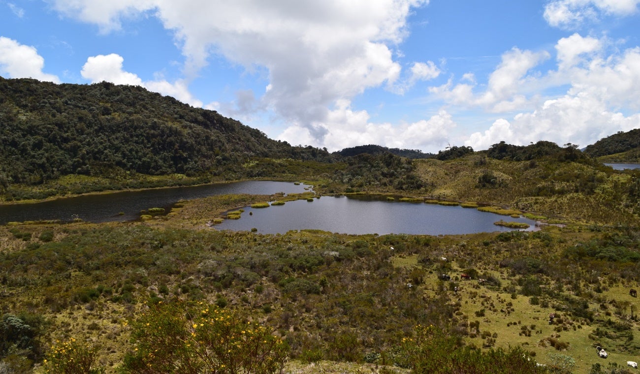 Lagunas Tolima