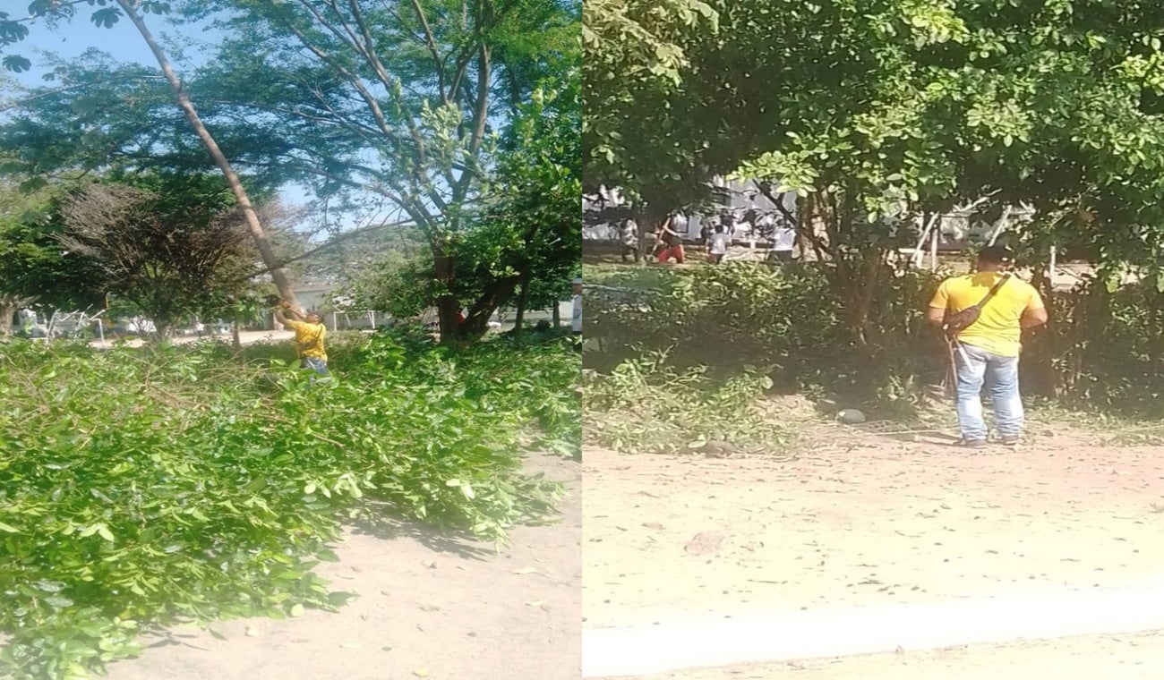 Tala ilegal Venadillo