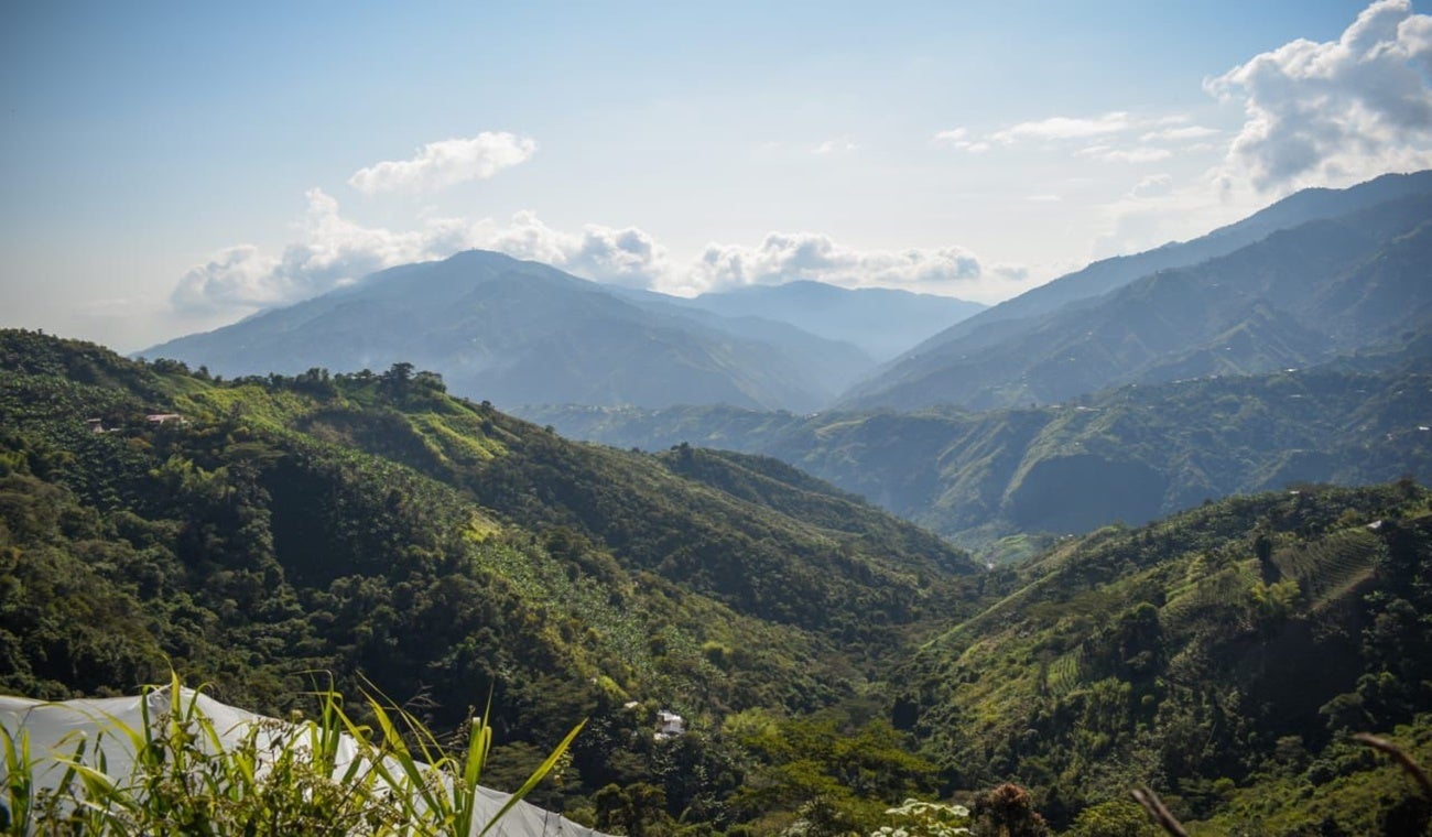 Vereda El Tambo, zona rural de Ibagué