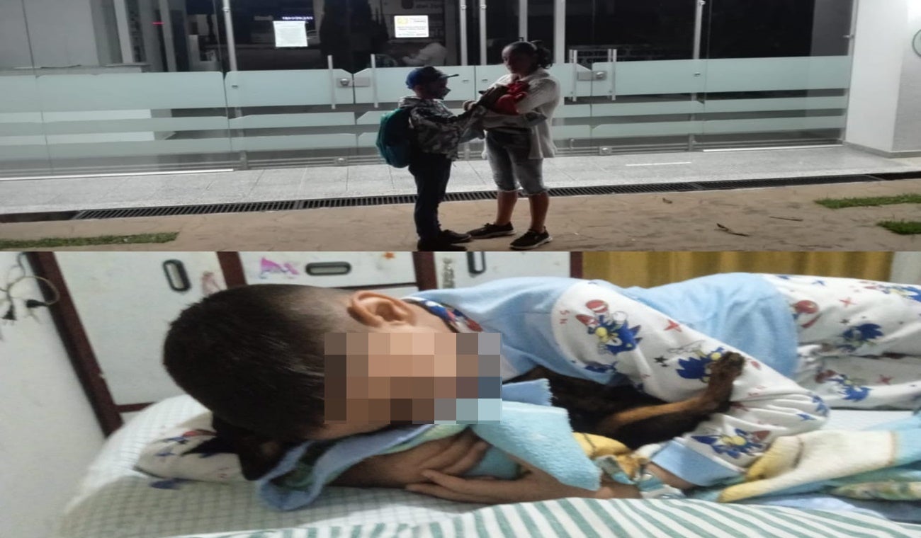 Muerte de perrita en Ibagué