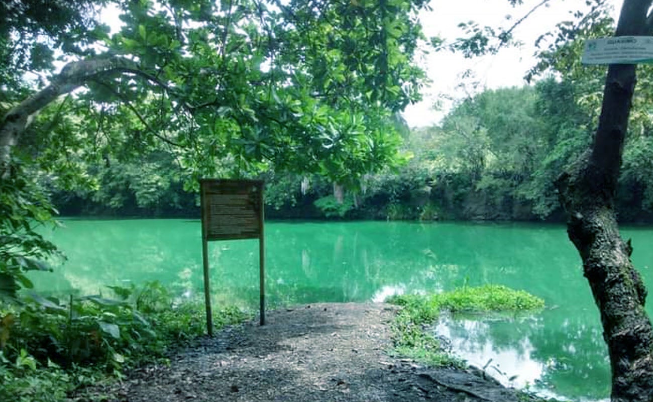 Humedal en el Tolima