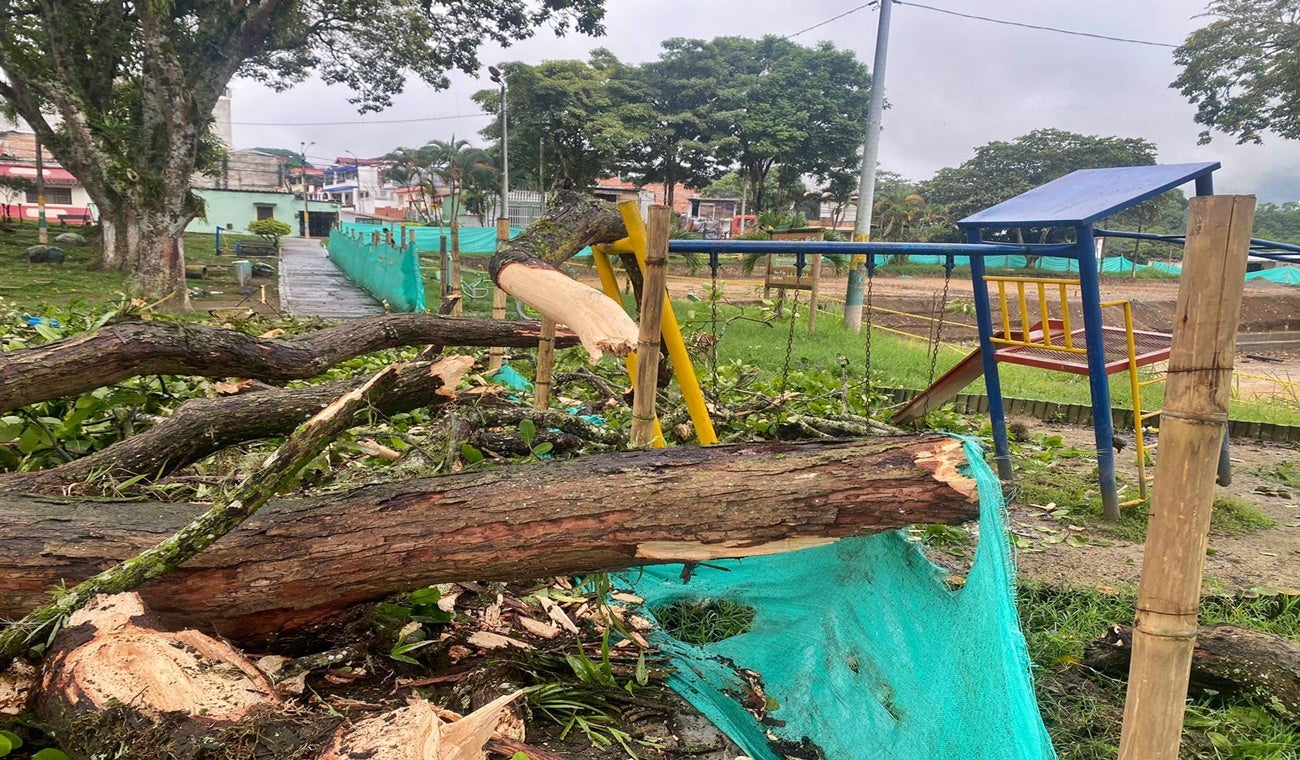Caída de árboles en Viveros Ibagué