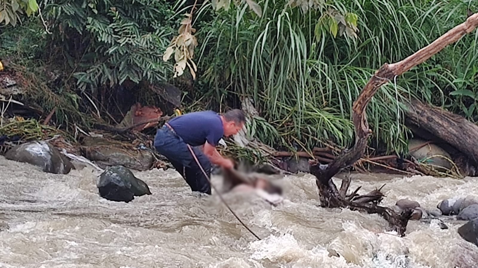 Hallan cuerpo sin vida de un hombre en el río Combeima, sector barrio Santofimio