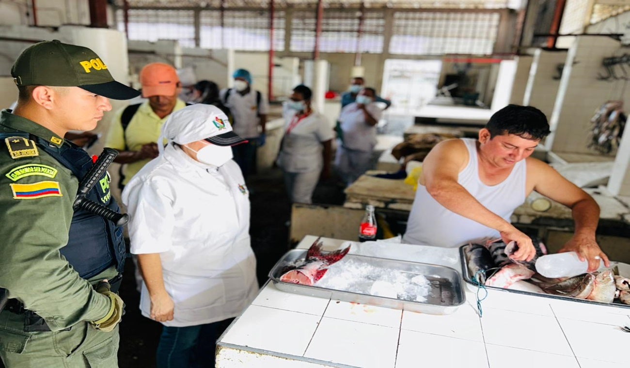 Pescado plazas de mercado Tolima
