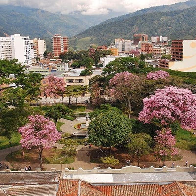 Noticias Ibagué: Congreso Nacional de Guías de Turismo será en Ibagué