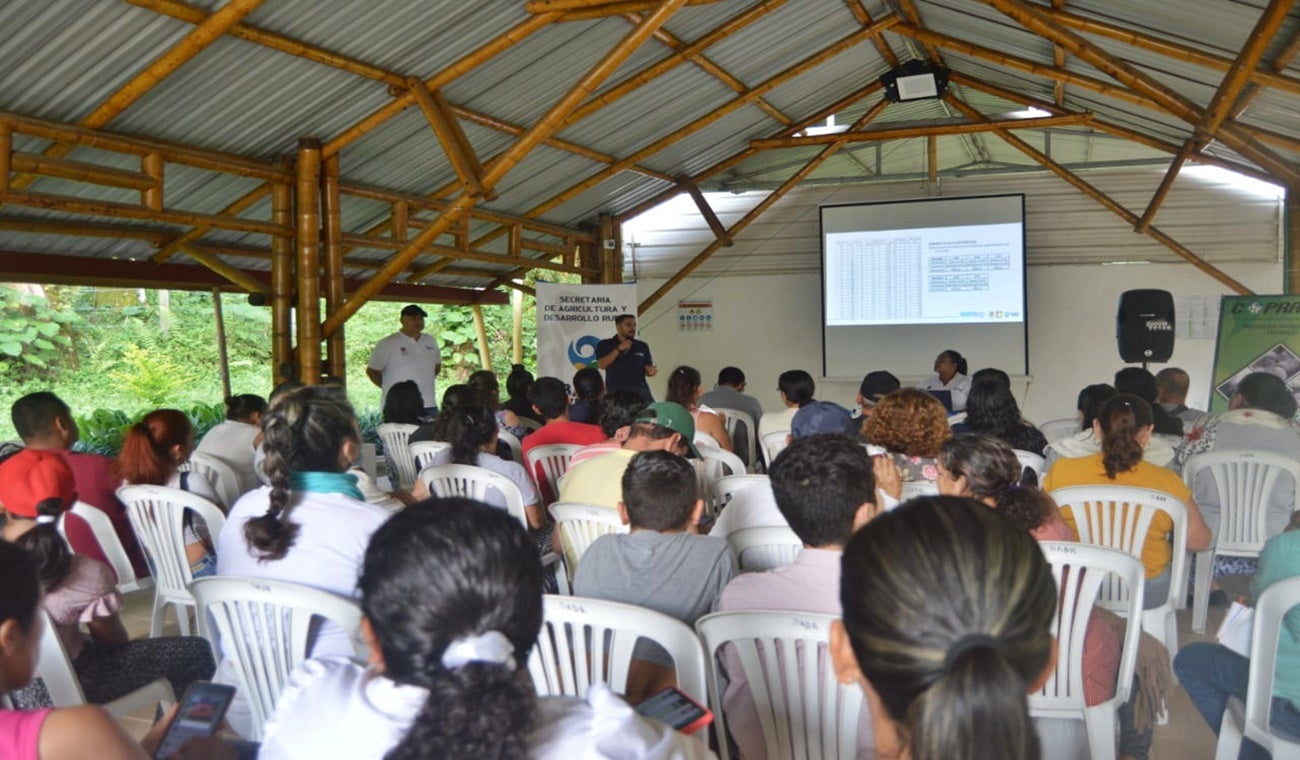 Población rural de Ibagué