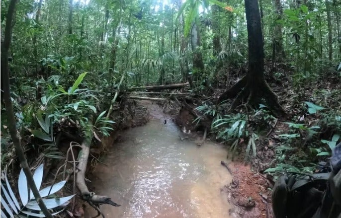 Zona de búsqueda de menores en Guaviare
