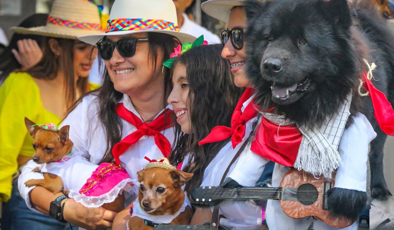 Desfile Sampedrino de Mascotas