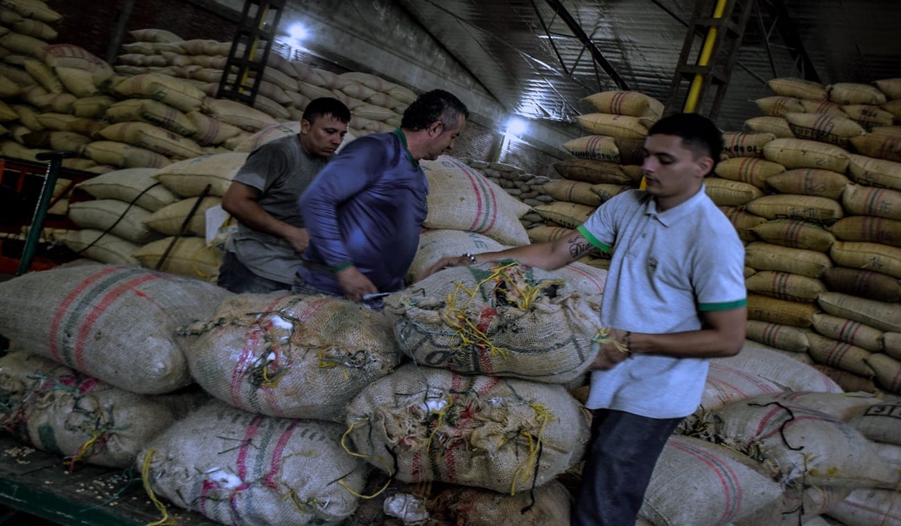 Cafeteros del Tolima