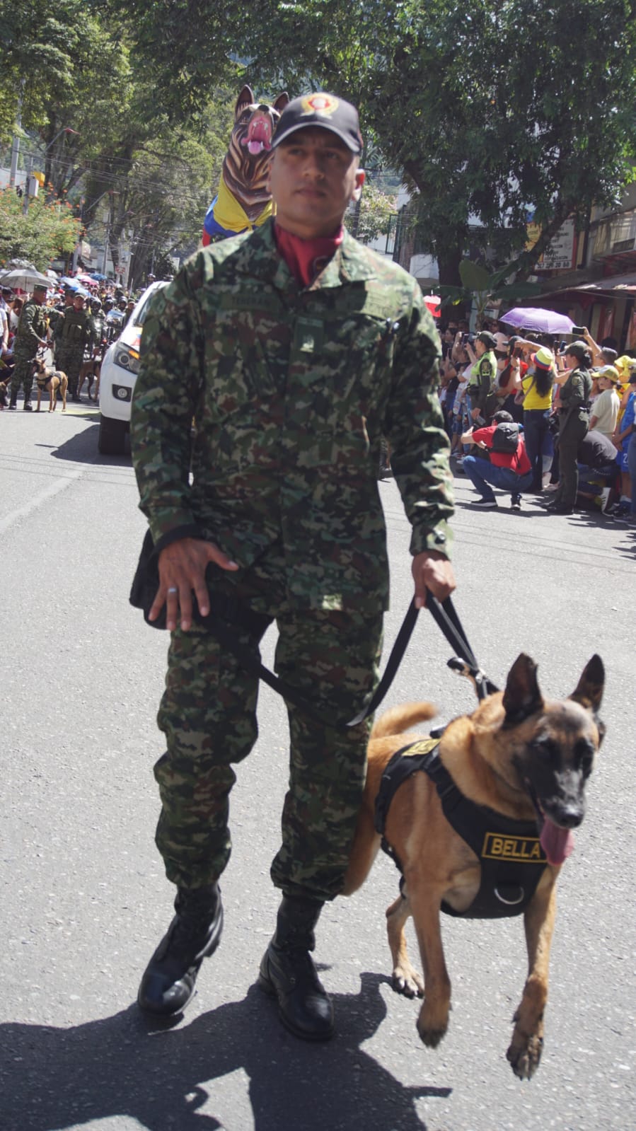 Desfile 20 de julio en Ibagué