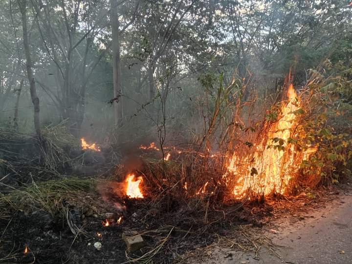 Incendios Forestales en Neiva
