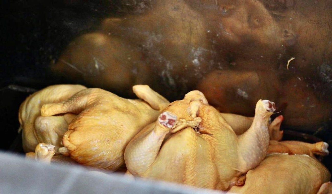 Imagen de referencia