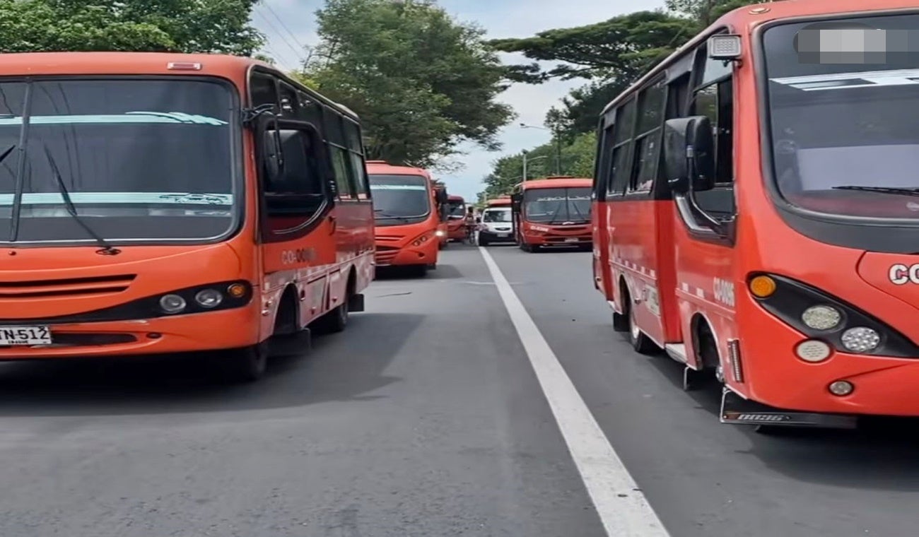 Plan tortuga en Ibagué