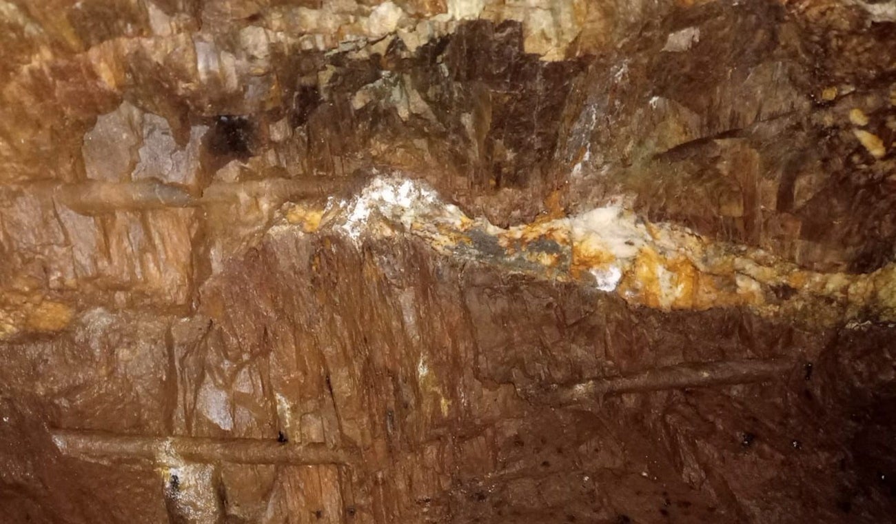 Explotación ilícita Falan