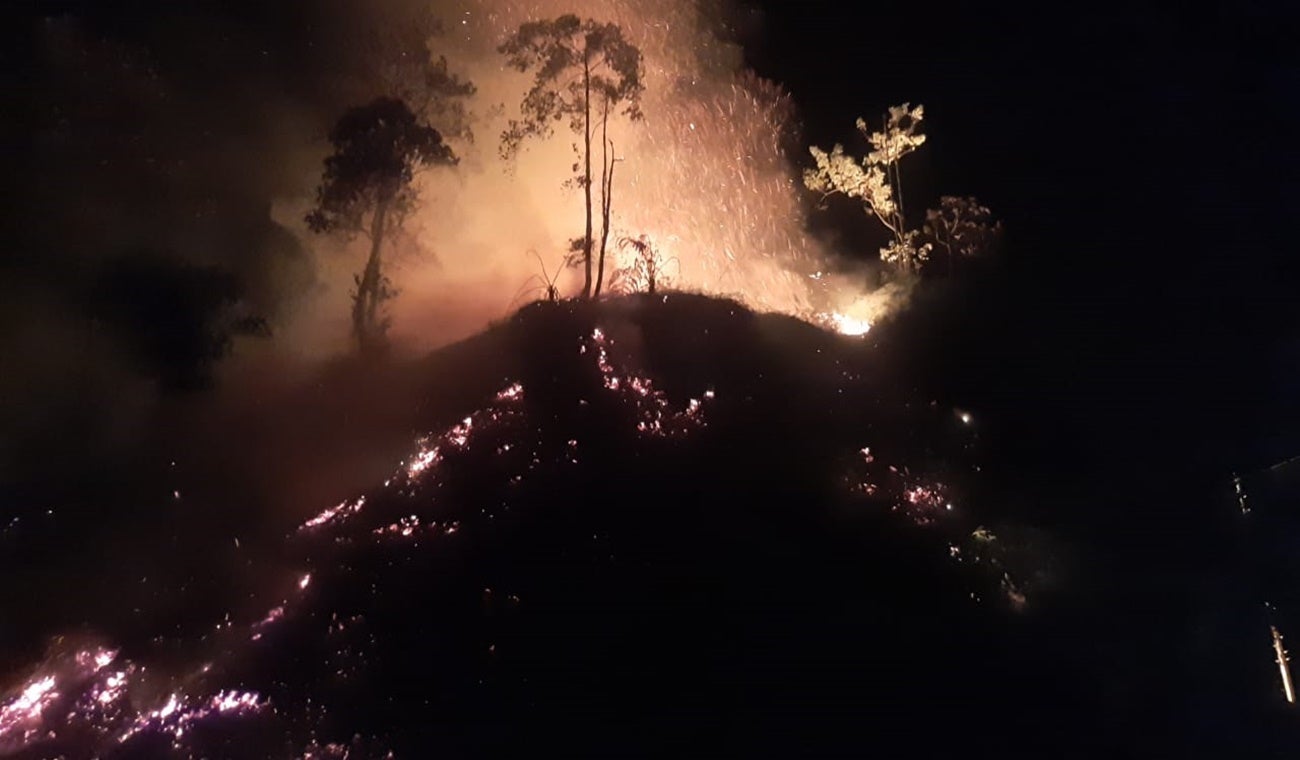 Incendios forestales en Tolima | Hectáreas afectadas | Alpujarra | Ibagué | Septiembre 2024