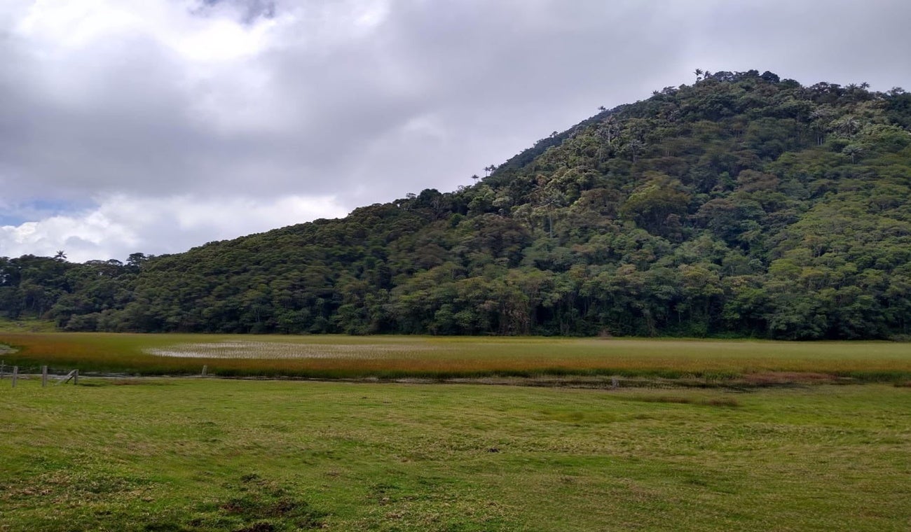 Zona de influencia Volcán Cerro Machín