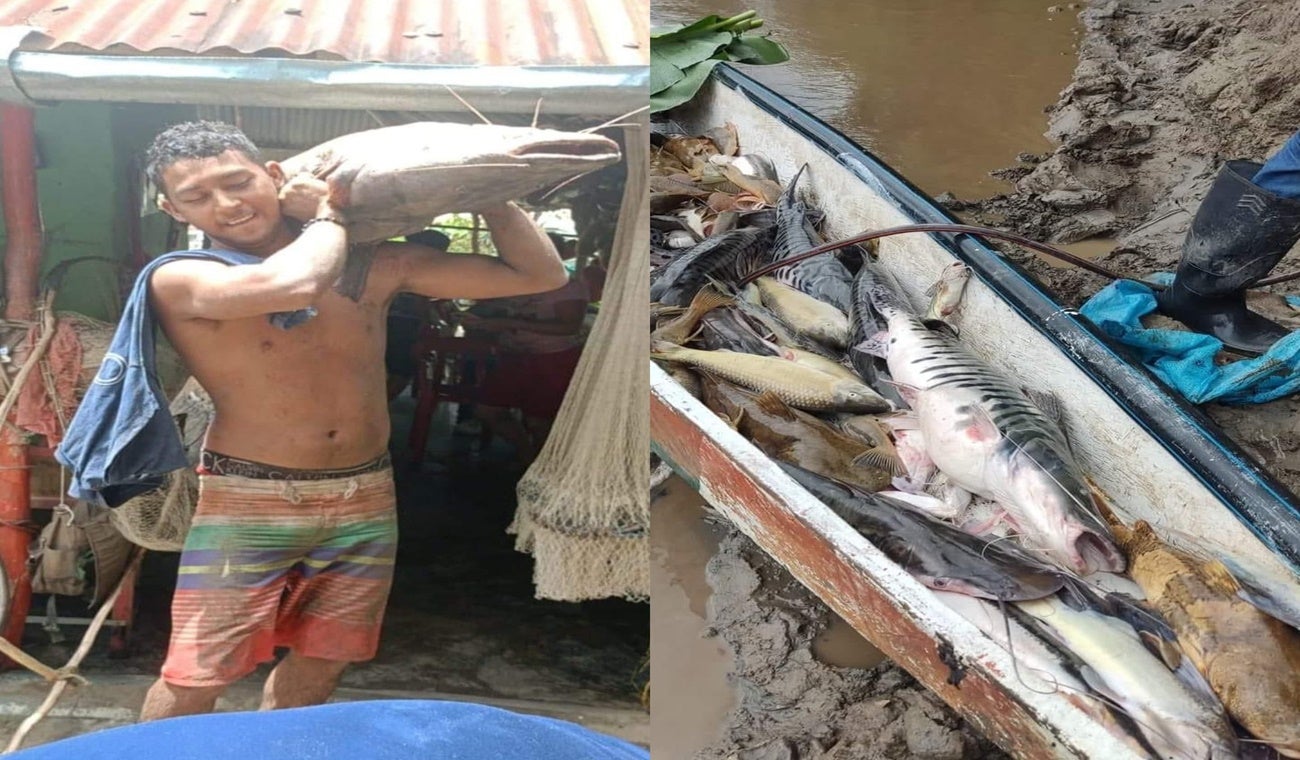 Pesca río Magdalena