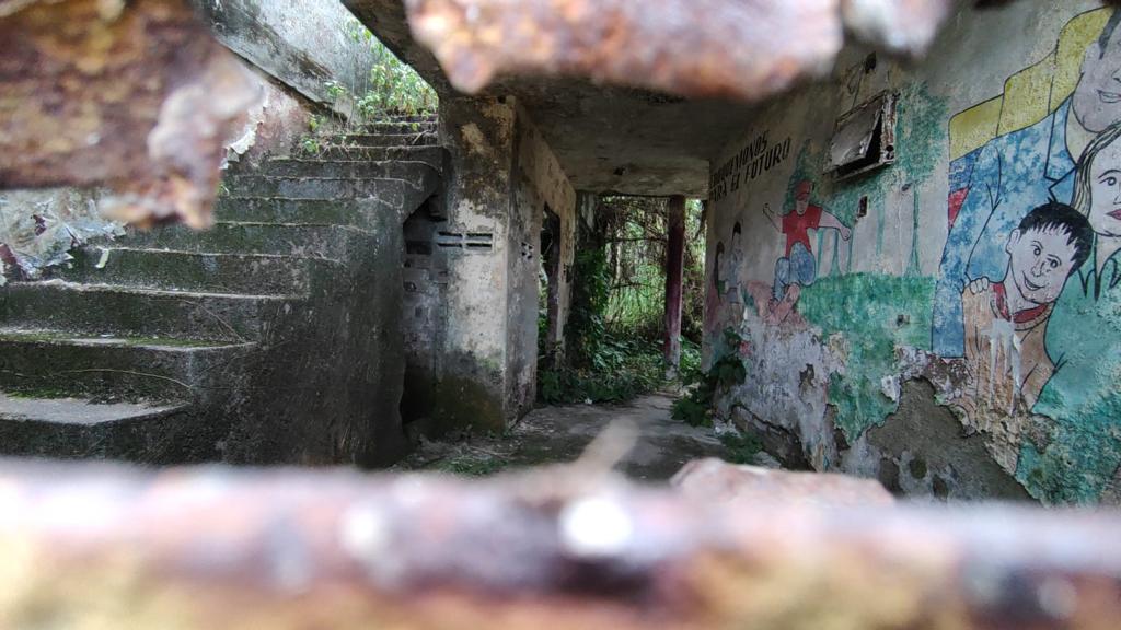 Concentración escolar de varones 20 de julio