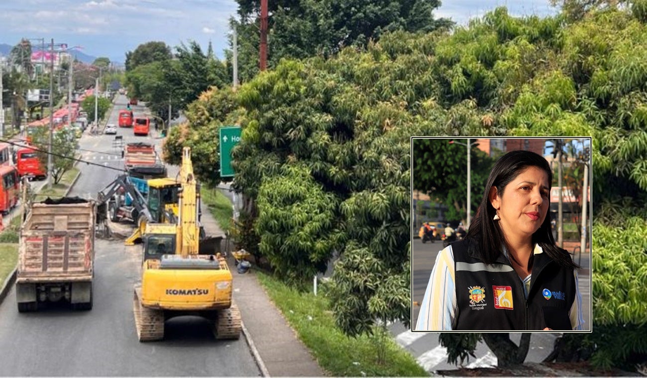 Obras puente de La 60