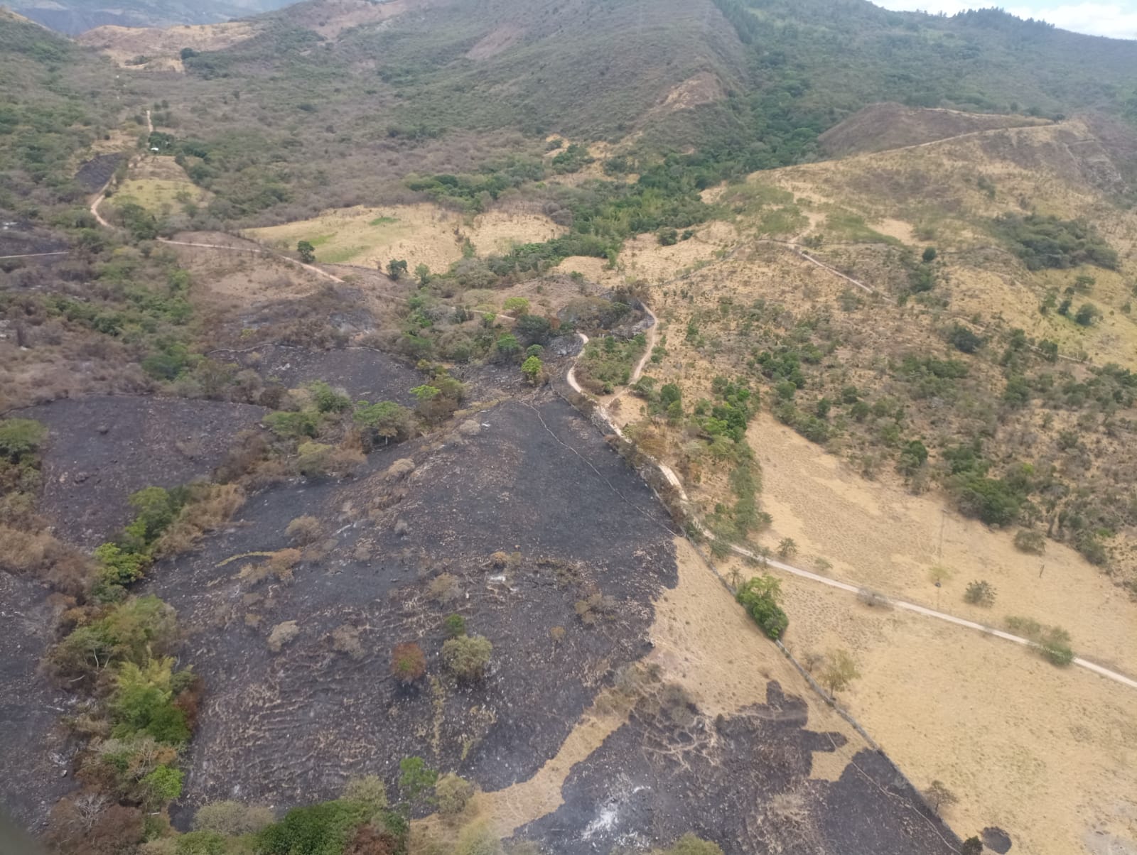 Más de mil hectáreas afectas tras incendios en Yaguará, Huila