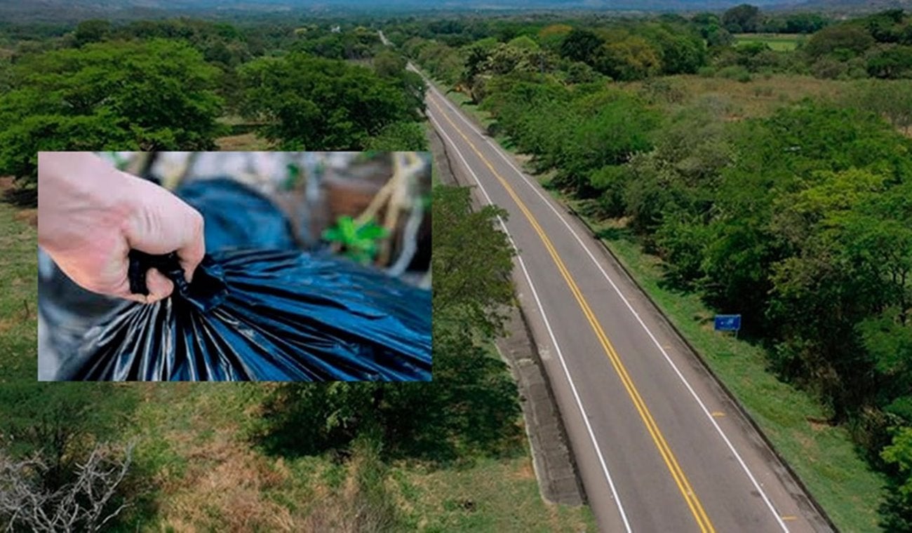 Caminante murió arrollado por vehículo fantasma en inmediaciones de Armero – Guayabal
