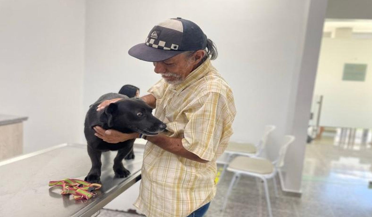 Hospital Veterinario