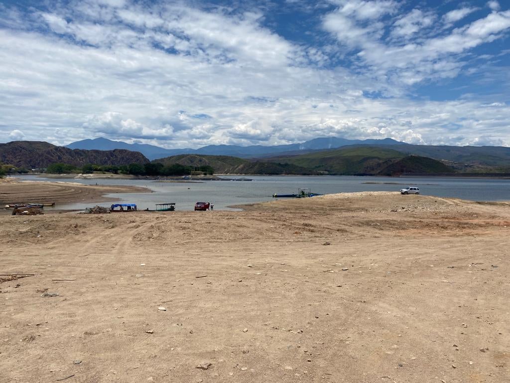 Cerca de 18.000 toneladas de peces en riesgo de morir ante el bajo nivel de agua de Betania en Huila