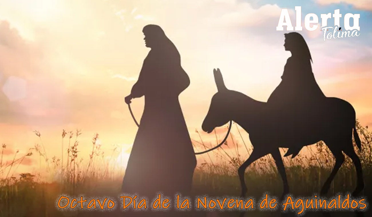 Día 8 Novena