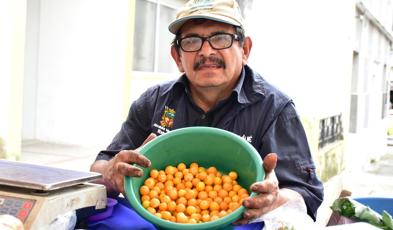 Mercados campesinos