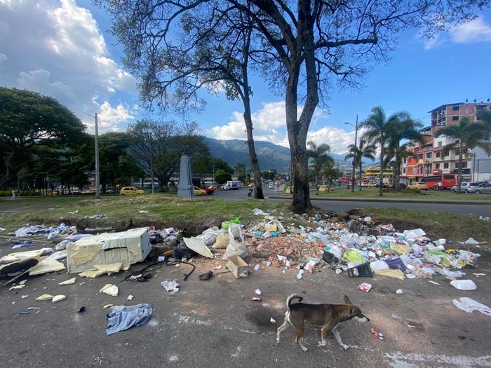Basurero calle 19 de Ibagué